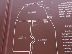 -大岭沟猕猴桃谷风景区
