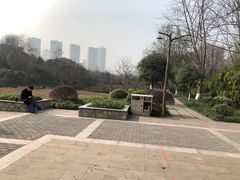 -重庆彩云湖湿地公园