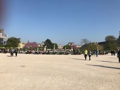 -杜乐丽花园