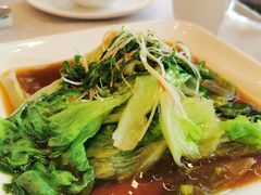 -新南华大酒店(长寿店)