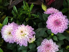 -人民公园(罗湖区)