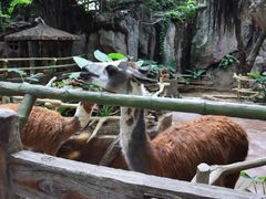 -长鹿旅游休博园