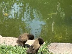 -春风习习