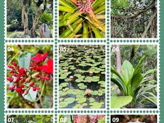 -中国科学院西双版纳热带植物园