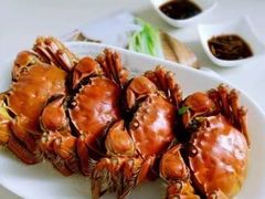 -上海老范农家乐(崇明前卫村店)