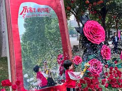 -西苑公园