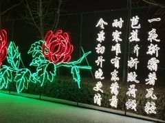 -青龙湖公园