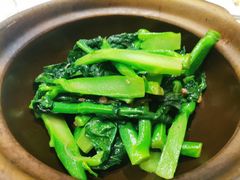 姜汁芥兰-稻香酒家(天河城店)