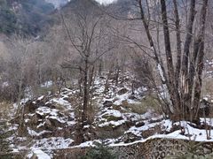 -青峰峡国家森林公园