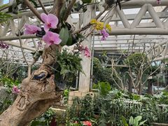 -石家庄市植物园