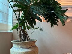-金海华·四季时堂·第一食堂(现代传媒广场店)