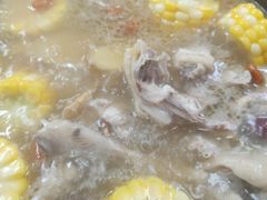 -花苑美食横琴生蚝火锅(拱北粤华路店)