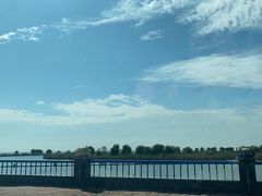 -合肥滨湖国家森林公园