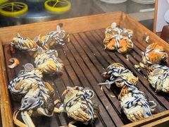 -曲水兰亭(北京四惠店)