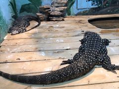 -石家庄市动物园