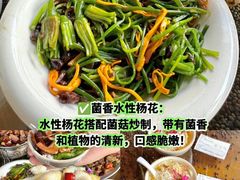 -巷里老院花园餐厅