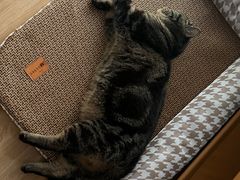 -优衣库(上海金桥国际商业广场店)