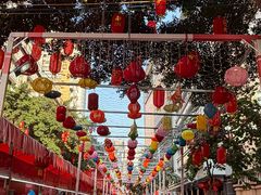 -越秀西湖花市(广州城市广场花卉店)