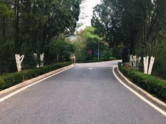 -棒棰岛宾馆景区