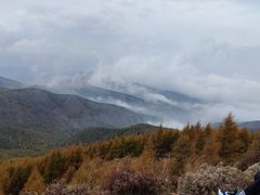 -苏木山森林公园