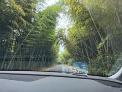-莫干山风景区
