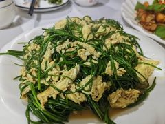 -煲来饱去冷水鱼