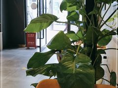 -COSTA COFFEE(斯普瑞斯奥特莱斯店)