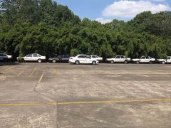 -胜华驾校·小猫学车(银都店)