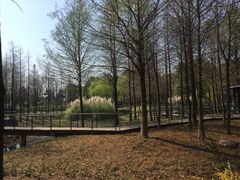 -尚贤河湿地