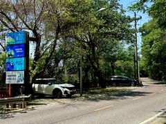 -铁山坪森林公园