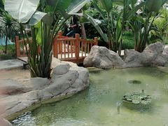 -兰陵国家农业公园