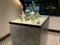 -大树餐厅(红旗街万达店)