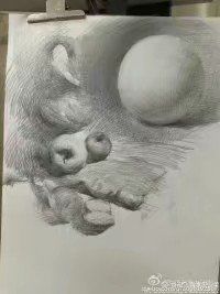 -八哥美术·成人美术画室(总校区)