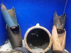 -海合安青岛极地海洋公园