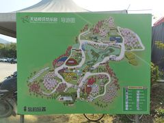 -天适樱花悠乐园