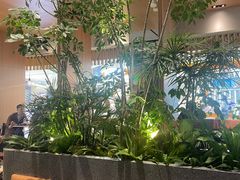 -gaga(深圳福田星河COCO Park店)