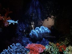 -中国湿地博物馆