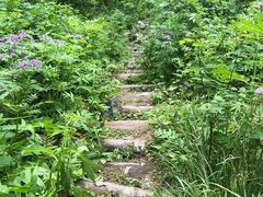 -秦岭风景区