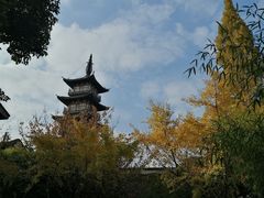 -秋霞圃