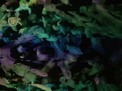 -星城之眼摩天轮