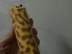 -元祖食品GANSO(常州新北区店)
