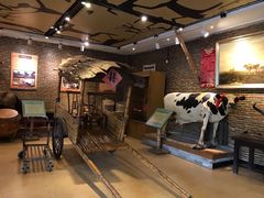 大堂-横沥牛庄(总店)