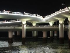 -演武大桥观景平台