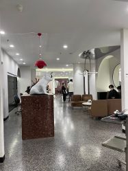 -SWANK SALON