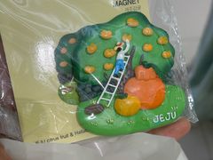 -新罗免税店(济州店)