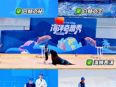 -秦皇岛乐岛海洋王国