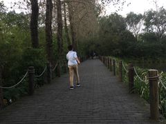 -溱湖国家湿地公园