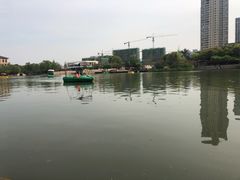 -青枫公园