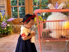 -HERRE·FARM 赫尔露营农场·团建聚会包场