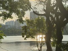 -南宁南湖公园